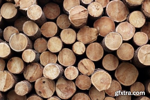 Collection sawmill production of wood a tree felling timber 2-25 HQ Jpeg