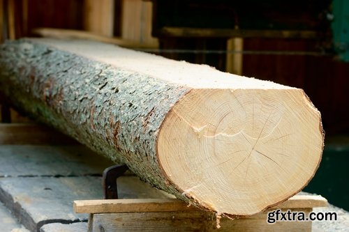 Collection sawmill production of wood a tree felling timber 2-25 HQ Jpeg