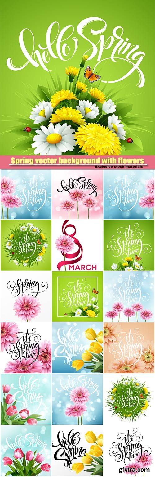 Spring vector background with flowers, tulip flower and gerbera