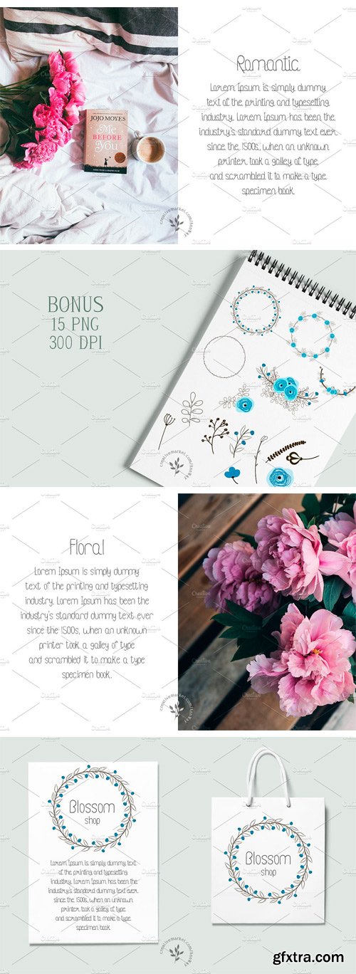 CM 1211911 - Empoli | Fonts + Bonus