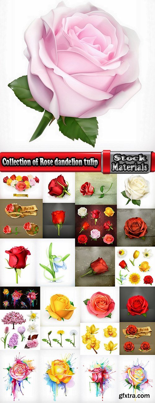 Collection of Rose dandelion tulip flower petal vector image 25 EPS
