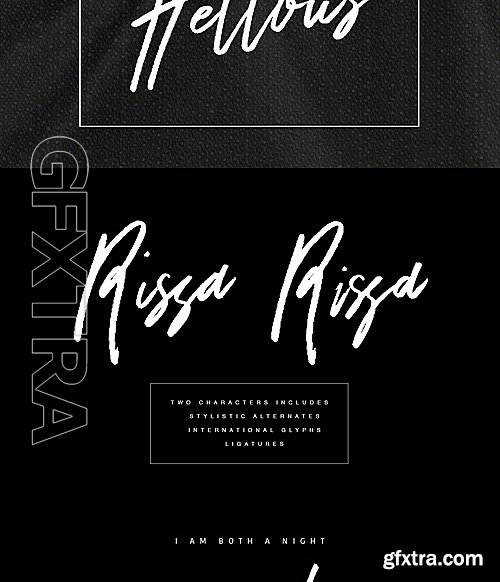 CM - Dattsy Signature Brush Font 1202502