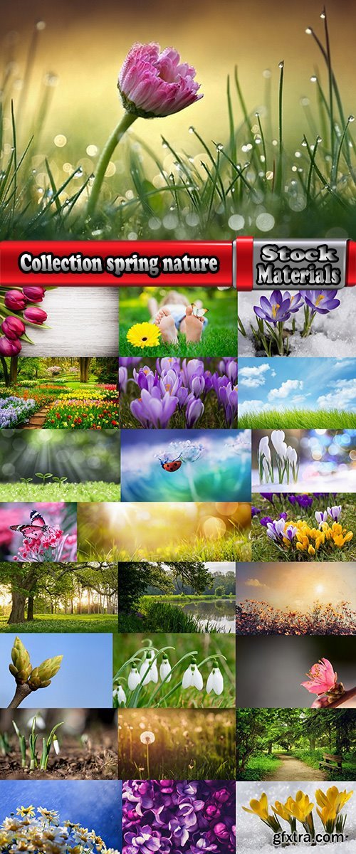 Spring Nature - Forest Grass Sprout Tulip Flower Snowdrop 25xJPG