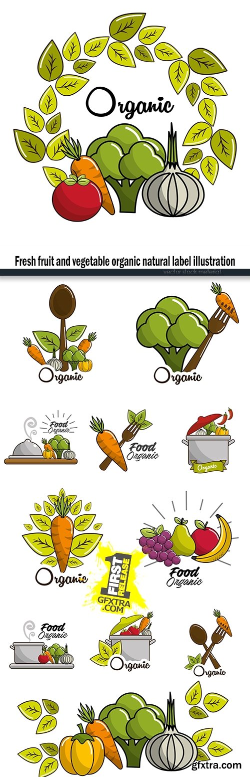 Fresh fruit and vegetable organic natural label illustration
