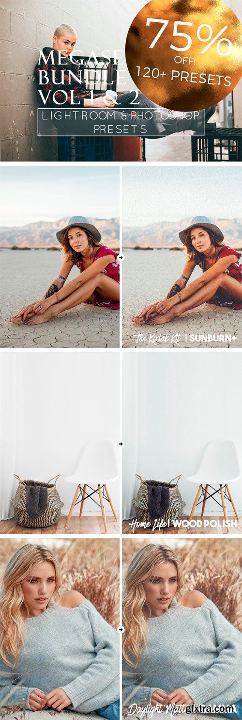 CM 1294839 - 124 Portait LR & PS Presets