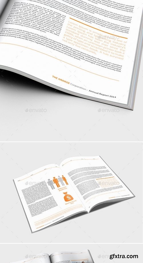 GraphicRiver - The Orange Annual Report 9192308