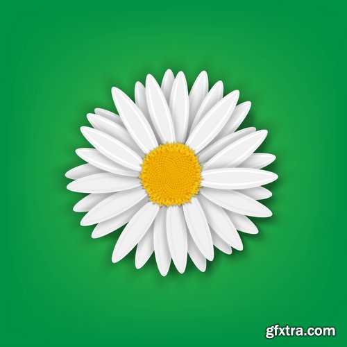 Collection daisy flower petal spring flyer banner frame background 25 EPS