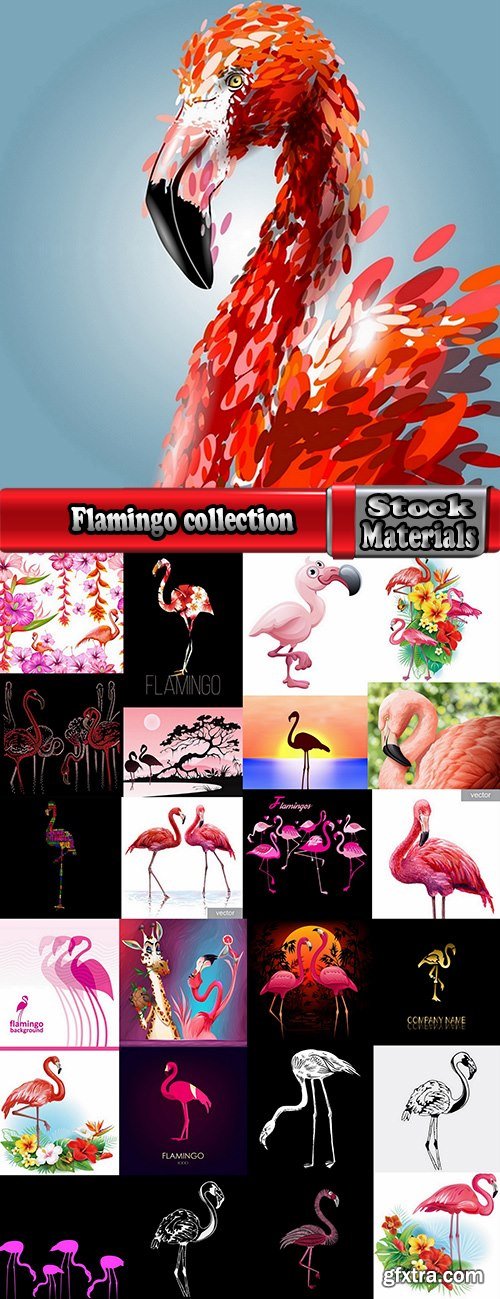 Flamingo collection of bird background background pattern of wing feather wallpaper 25 EPS