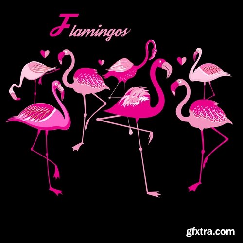 Flamingo collection of bird background background pattern of wing feather wallpaper 25 EPS