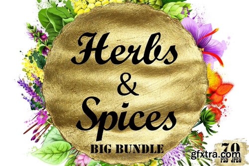 CreativeMarket Herbs & Spices big bundle - 70pcs 1259612