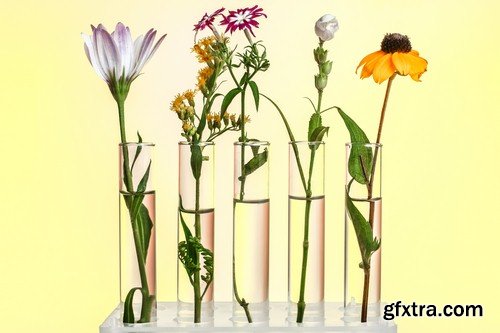 Flowers in flasks - 5 UHQ JPEG