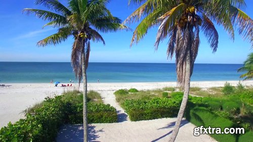 Florida Beach Aerial Flying Florida Beach Aerial Flying