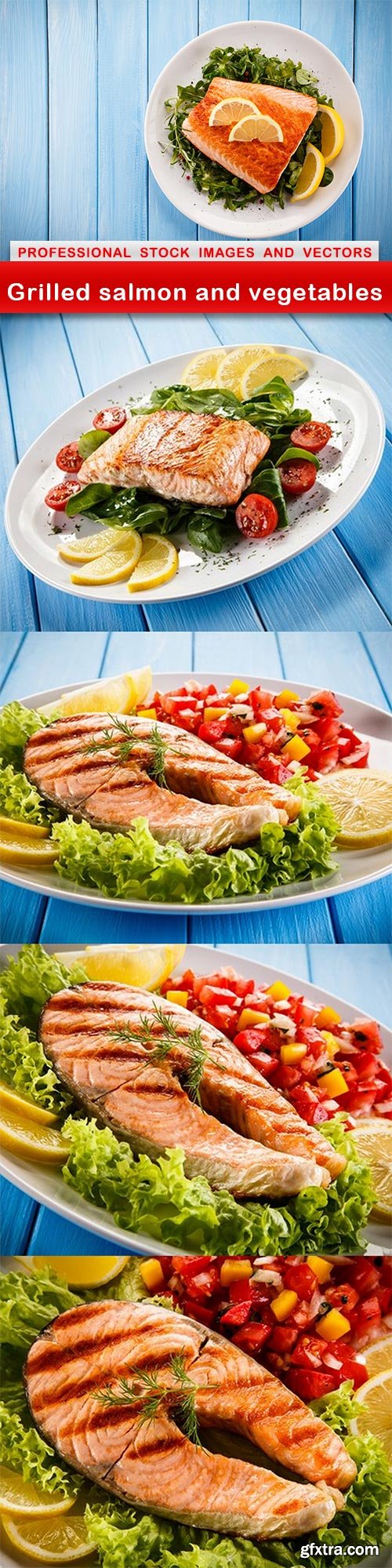 Grilled salmon and vegetables - 5 UHQ JPEG