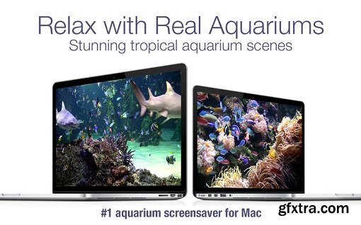 Aquarium Live HD Plus 3.0 (Mac OS X)