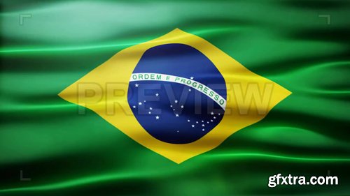 Brazil Flag Brazil Flag