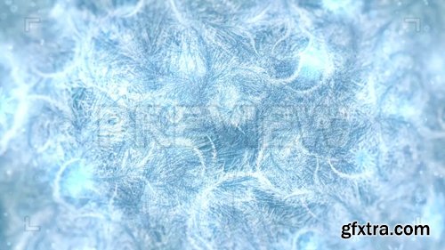 Frozen Pattern Snowflakes Frozen Pattern Snowflakes