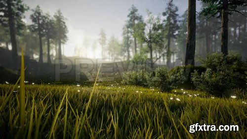 In The Heaven Forest In The Heaven Forest