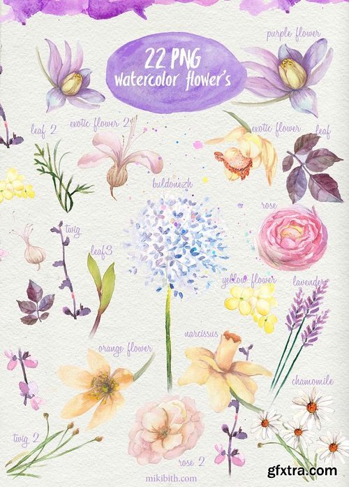 CM - Watercolor flowers 437160