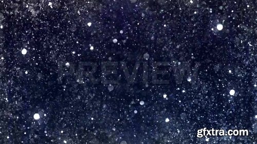 Modern Particular Modern Particular