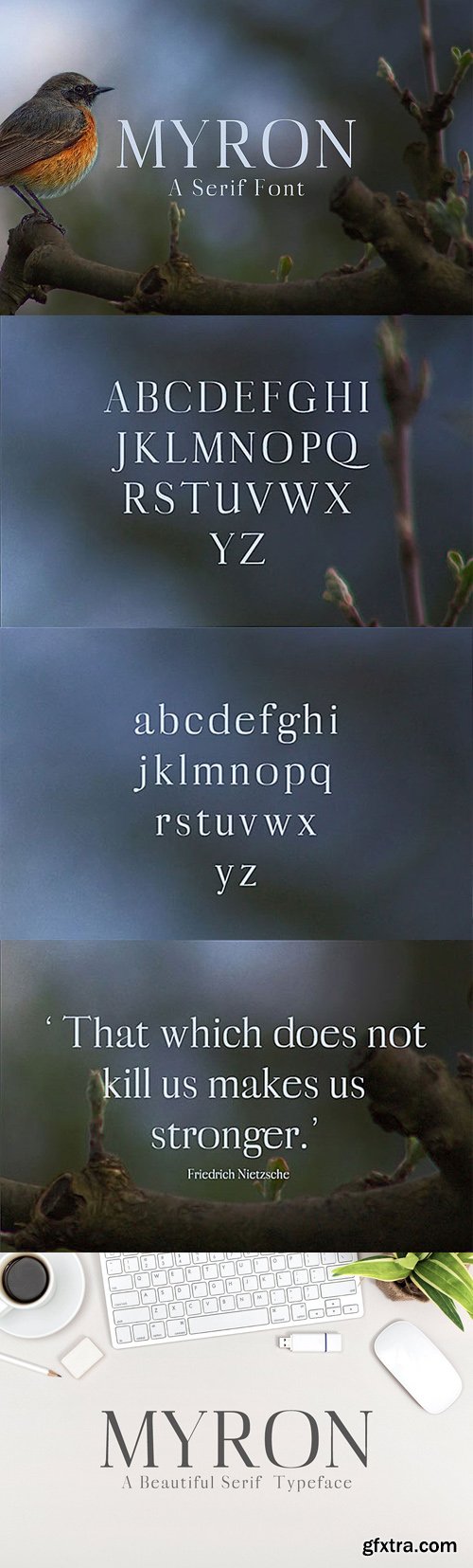 Myron Retro Style Serif Font