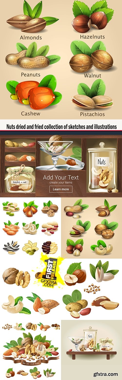Nuts dried and fried collection of sketches and illustrations
