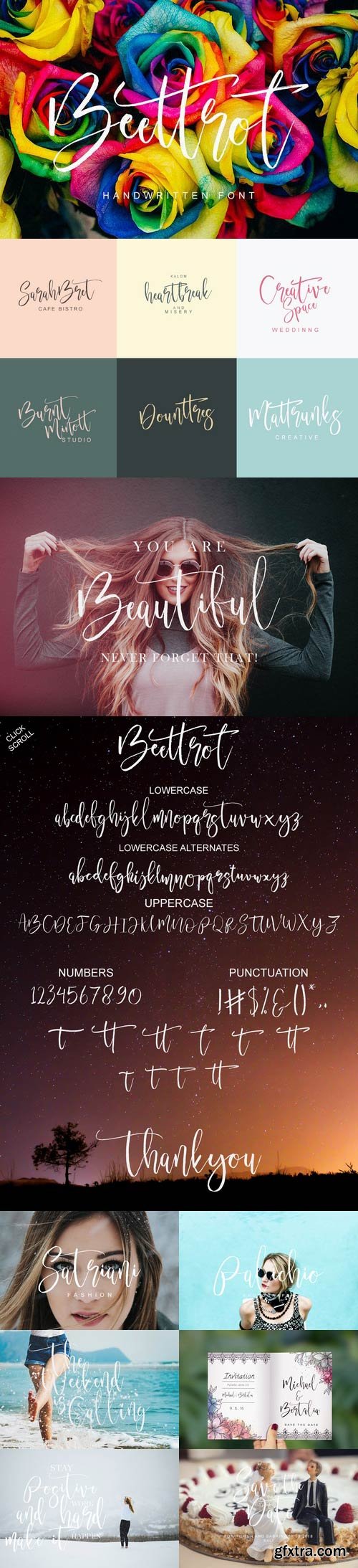 Fontbundles - Beettrot 18987