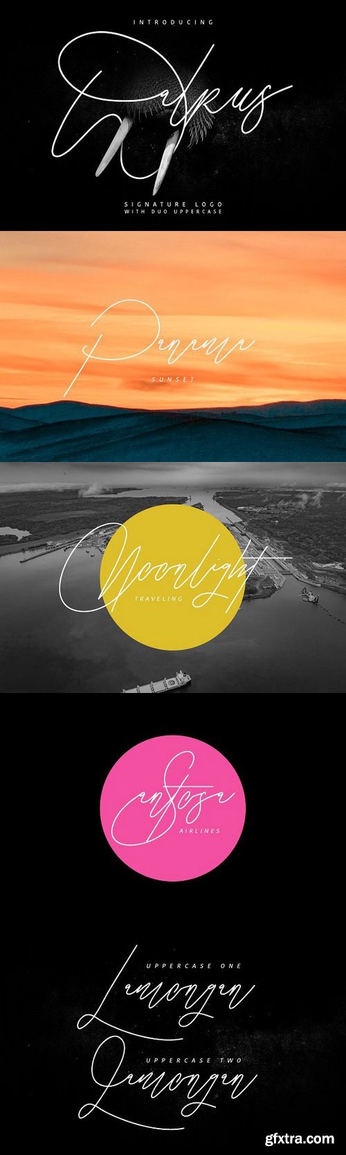 Thehungryjpeg - Walrus Typeface 58227