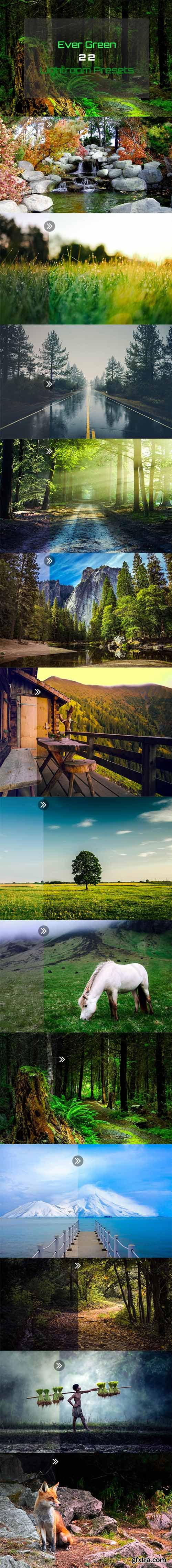 GR - Ever Green 22 Lightroom Presets 19879338