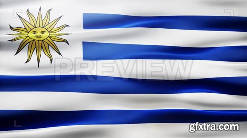 Uruguay Flag