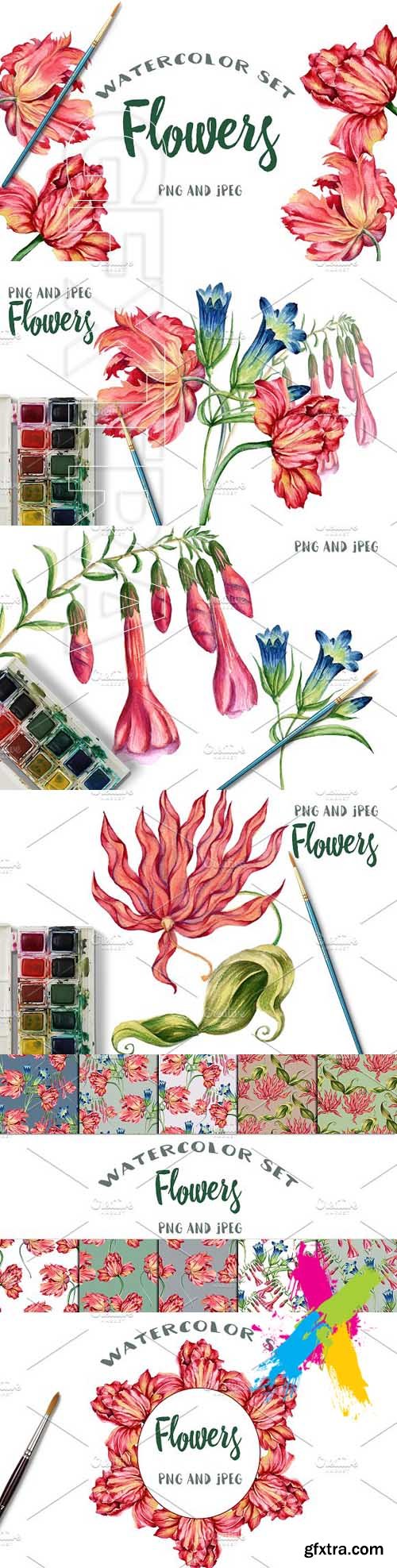 CM - Watercolor flowers 1491453