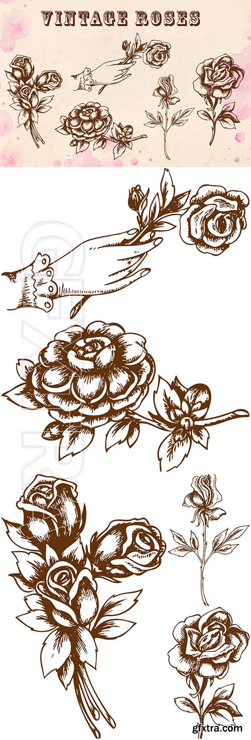 Vintage roses vector