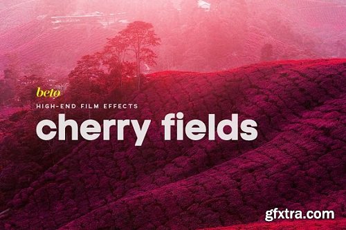 Cherry Fields Photoshop Action