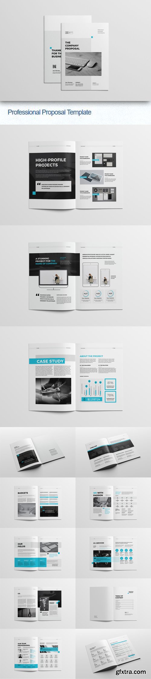 Professional Proposal Indesign [INDD/IDML] Template