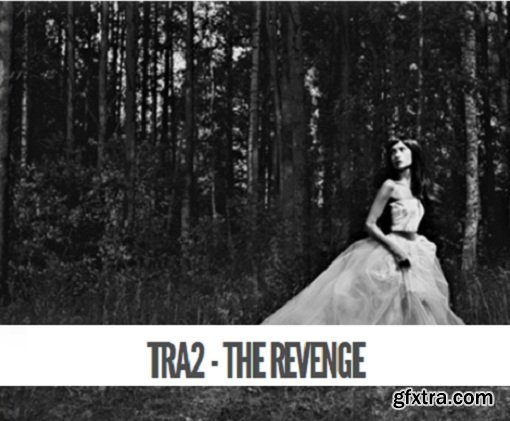 Totally Rad - TRA2 - The Revenge Photoshop Actions