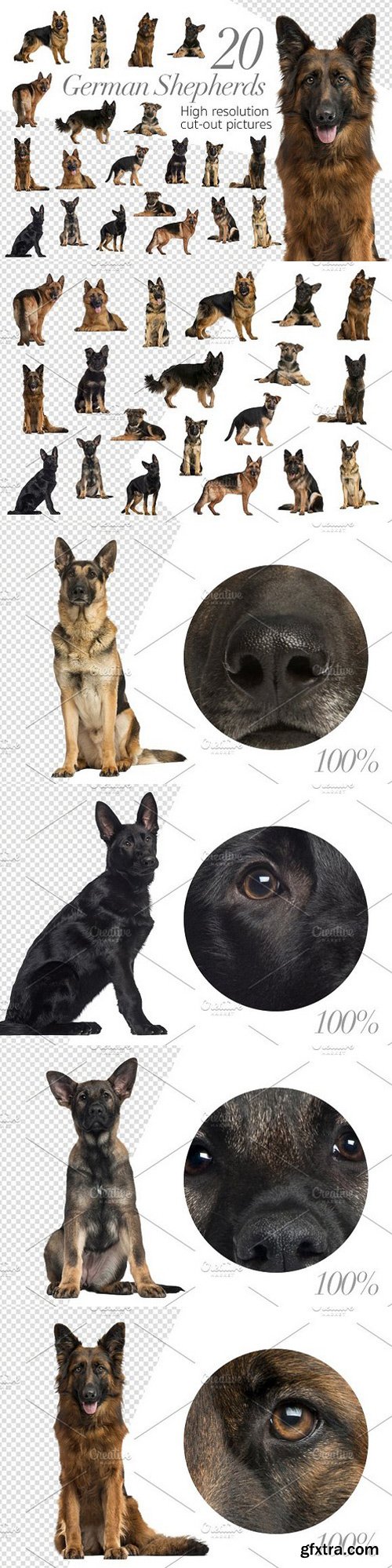 20 German Shepherds - Cut-out Pics PNG 1449435