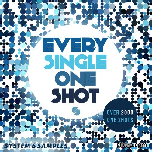 System 6 Samples Every Single One Shot WAV-FANTASTiC