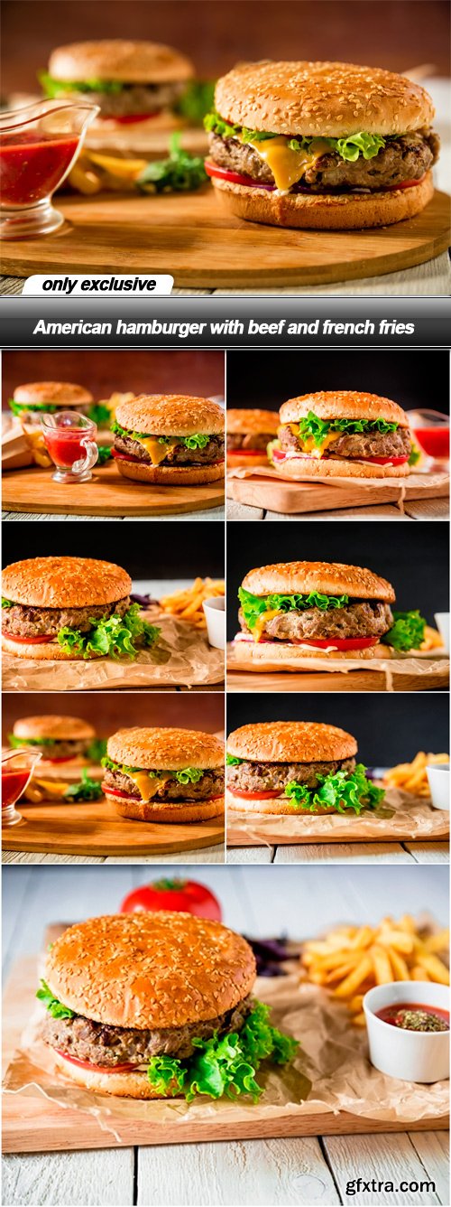 American hamburger with beef and french fries - 7 UHQ JPEG
