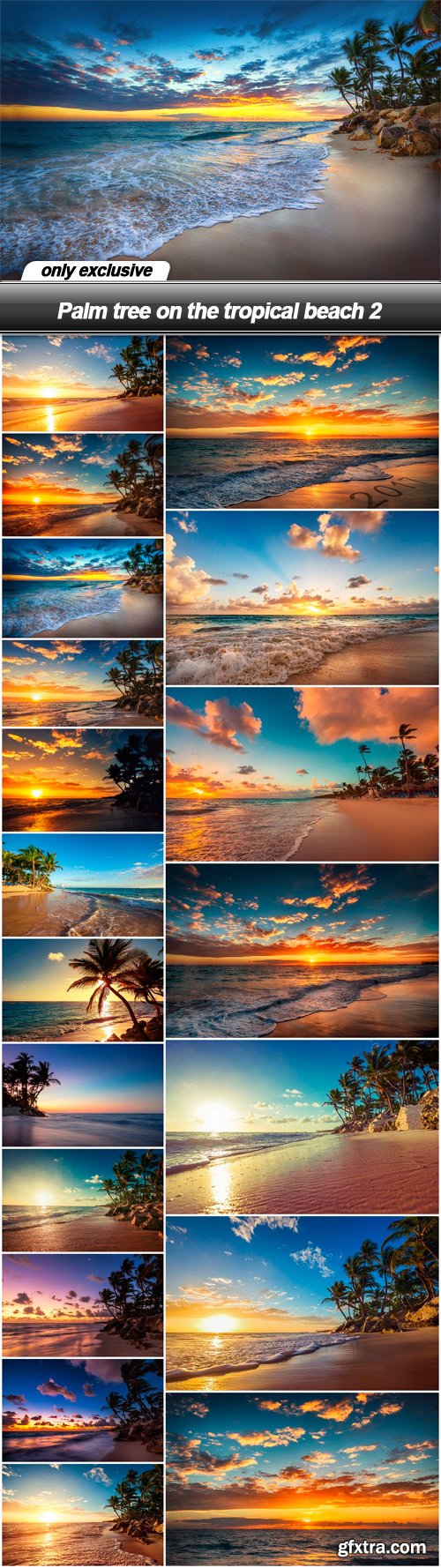 Palm tree on the tropical beach 2 - 19 UHQ JPEG