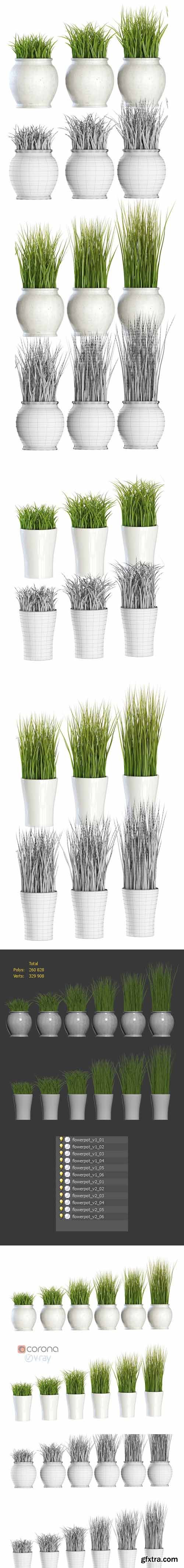 Grass in pots 3D model
