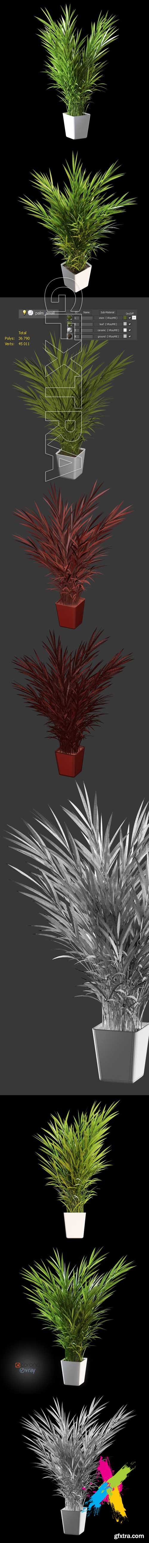 Palm tree in pot 3D model