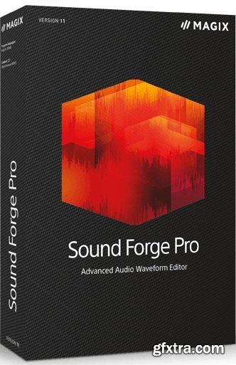 MAGIX Sound Forge Pro 11.0 Build 338 Multilingual