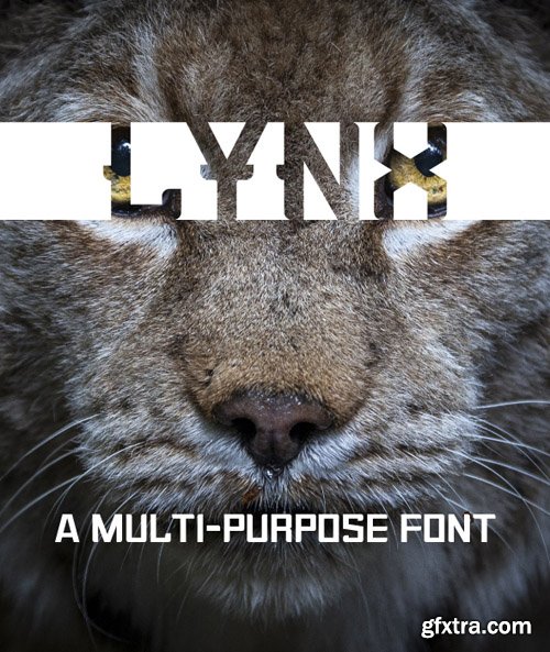 GR - Lynx Multi Purpose Font 20099605 GR - Lynx Multi Purpose Font 20099605