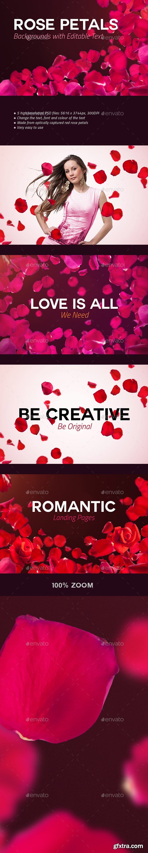 GR - 4 Rose Petals Backgrounds with Editable Text 20258778