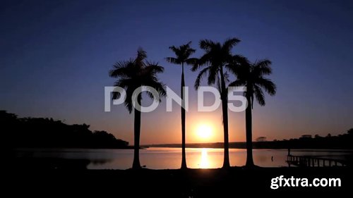 Pond5 - Paradise Beach - Tropical, Palm Tree And Sun Rising
