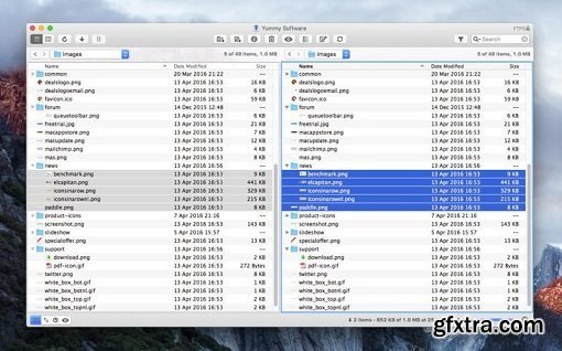 Yummy FTP Pro 1.11.9 (Mac OS X)