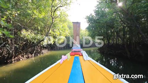 Longtail Boat Drives Mangrove Sea Front Longtail Boat Drives Mangrove Sea Front