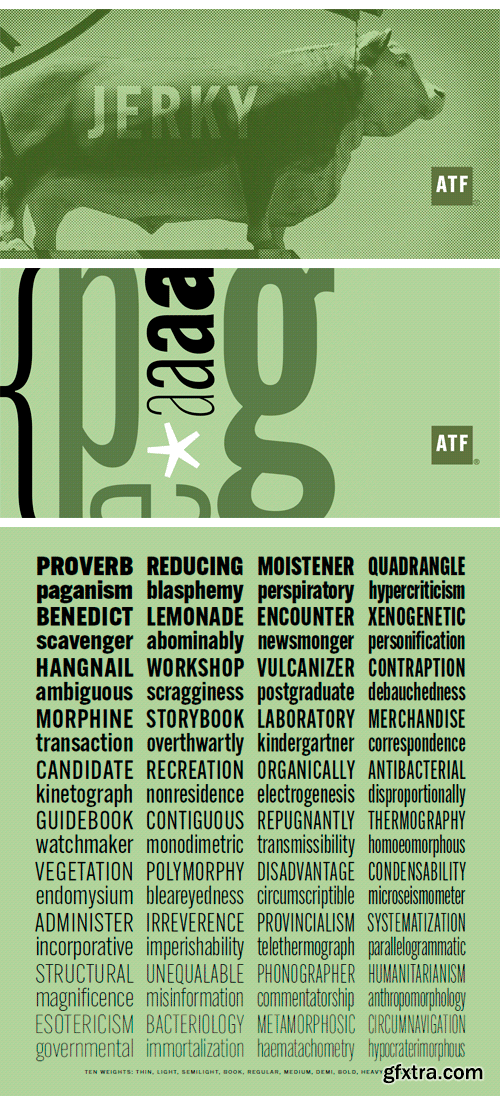 ATF Alternate Gothic Font Family