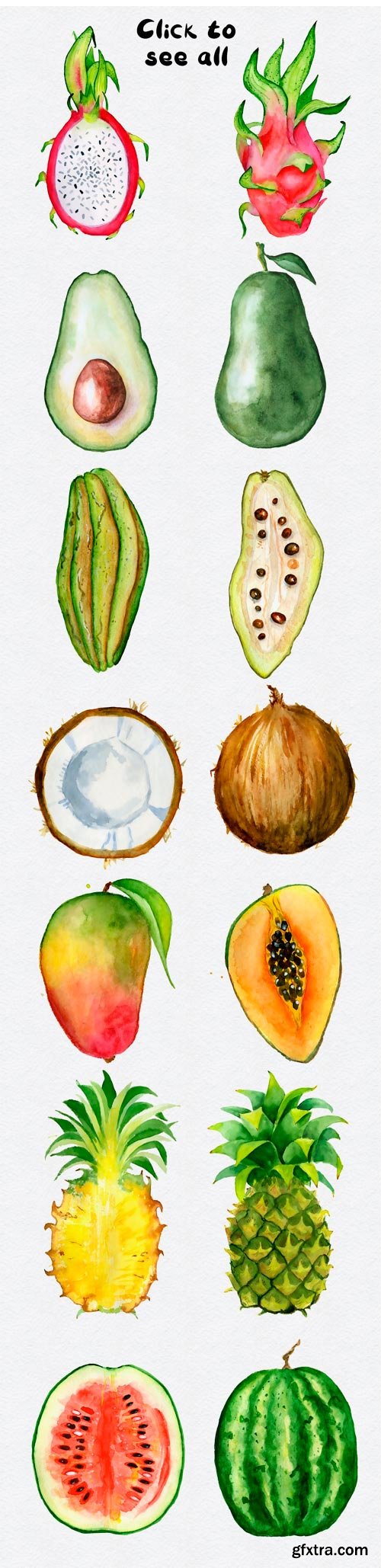 CM - Watercolor Tropical Fruits Clipart 1623924
