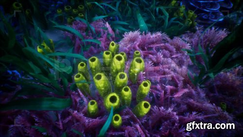 MA - Under Water 1 MA - Under Water 1