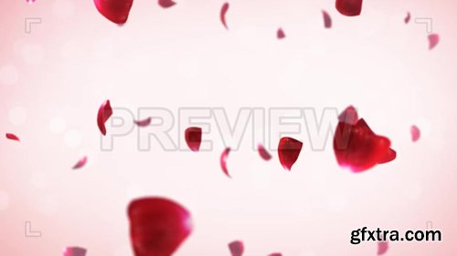 MA - falling rose petals MA - falling rose petals